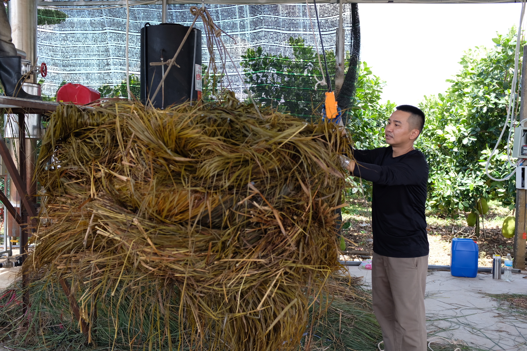 Da Bac Xanh Commitment 1