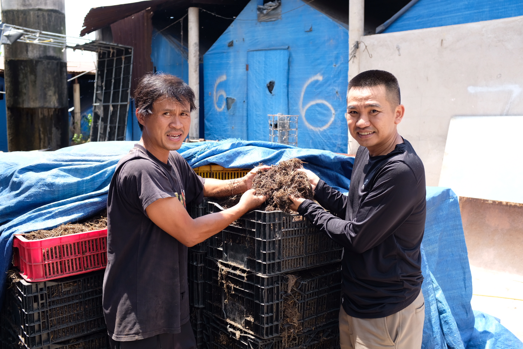 Da Bac Xanh Commitment 2