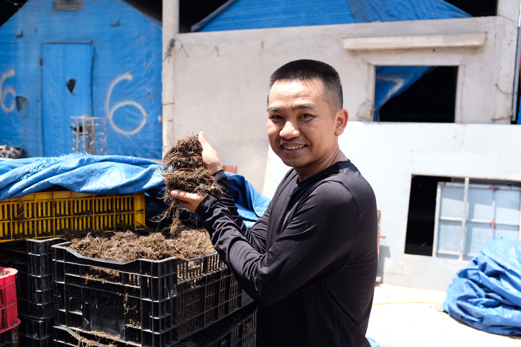 Da Bac Xanh Commitment 3